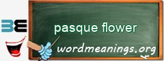WordMeaning blackboard for pasque flower